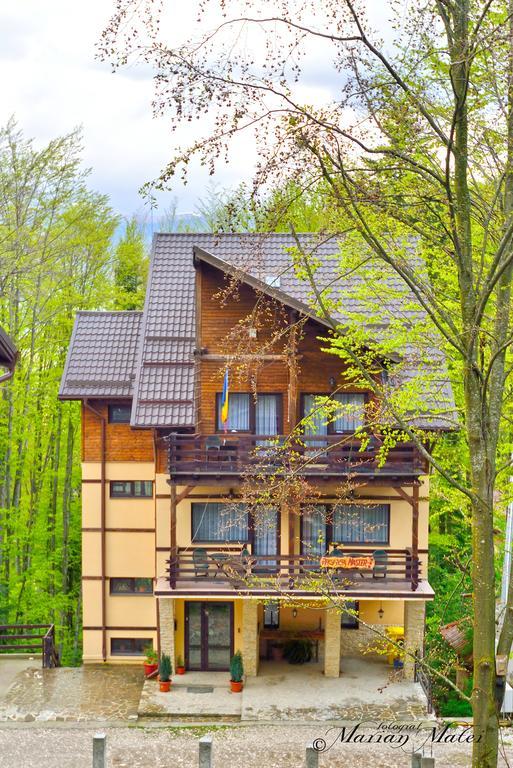 Pension Master Sinaia Buitenkant foto